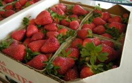 Strawberries